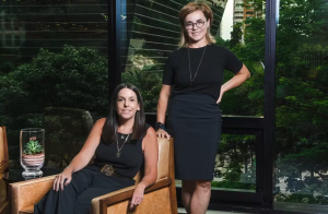 Google Ads e Magalu Ads: parceria que amplia as fronteiras do retail media